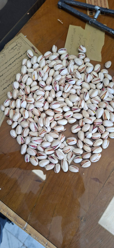 جنس درجه۱ سایز انس ۳۲