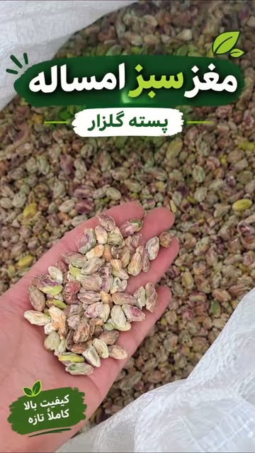 مغز سبز پسته گلزار